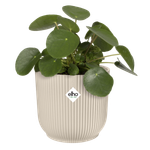 vibes fold round 22cm linen white